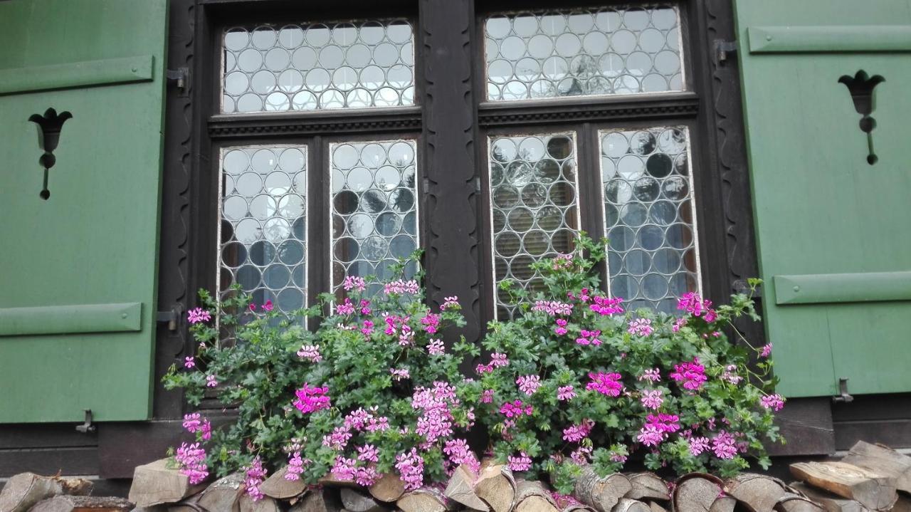 Apartment Chalet Kladska Mariánské Lázně Exteriér fotografie